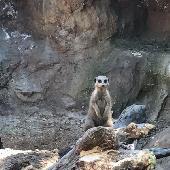 2021-06-17 ZOO Hodonn